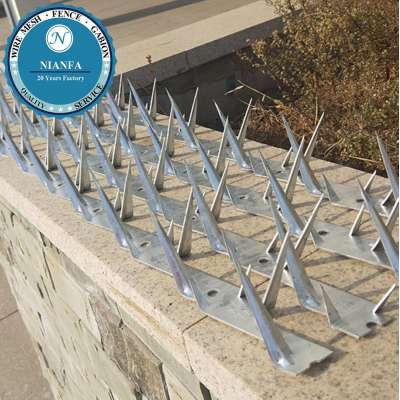 Galvanized Steel Spike/ Razor Barbed Wire Anti Climb Wall Spikes(Guangzhou Factory)