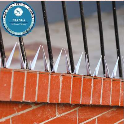 All Size Spike Nail Razor Spike Fence Anti Climb Wall Spikes(Guangzhou Factory)