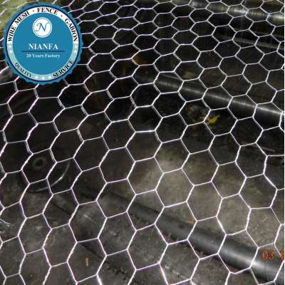 galvanised poultry wire mesh/fish pot wire/galvanized net(Guangzhou Factory)