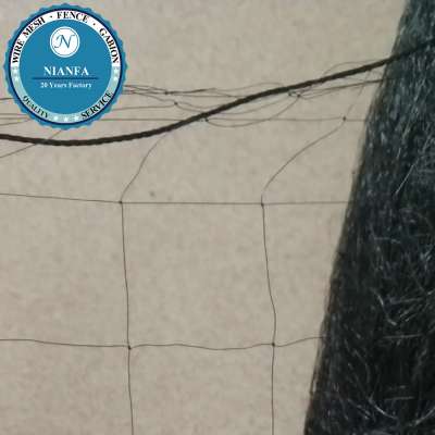 Bird Netting for Bramble and Blueberry Plantings Protection (Guangzhou Factory)