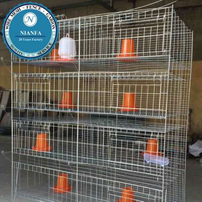 h type layer chicken cage use drinker and feeder bucket(Guangzhou Factory)